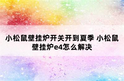 小松鼠壁挂炉开关开到夏季 小松鼠壁挂炉e4怎么解决